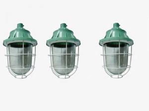 Đèn chống cháy nổ BCD 250 - Ảnh 3