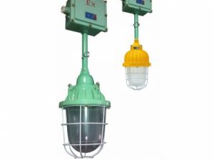 Đèn chống cháy nổ BCD 250 - Ảnh 7