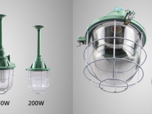 Đèn chống cháy nổ BCD 250 - Ảnh 5