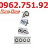 Đèn led đánh cá Rạng Đông đèn thả chìm