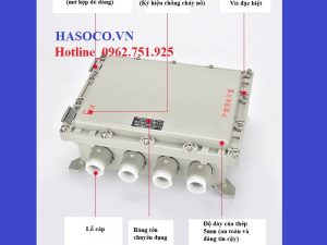 Hộp nối dây phòng nổ