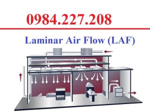 Laminar Air Flow (Dòng chảy tầng khí) LAF