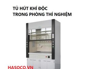Tủ hút khí độc trong phòng thí nghiệm Fume Hood