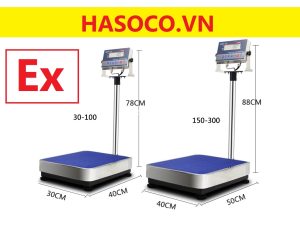 Cân chống cháy nổ