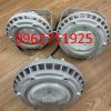 Đèn LED chống cháy nổ TCD230