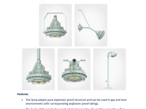 Đèn led phòng chống cháy nổ model TCD230 30w 40w 50w 60w 70w 80w 90w 100w